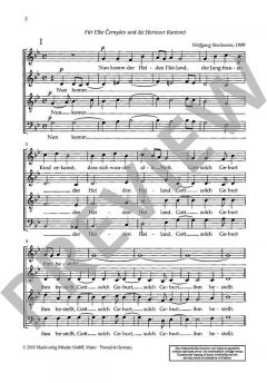 Nun komm der Heiden Heiland Wk 323 von Wolfgang Stockmeier (Download) 