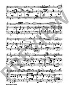Slawischer Tanz e-Moll von Antonín Dvořák (Download) 