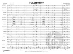 Flashpoint von Larry Neeck 