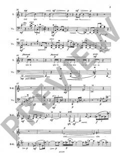 Worte, Schatten, Spiele von Christian Banasik (Download) 