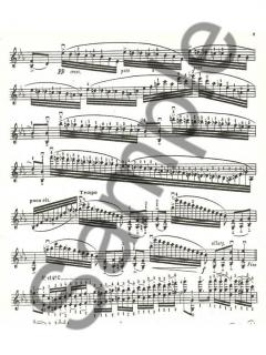 24 Caprices Vol. 2 von Niccolò Paganini 