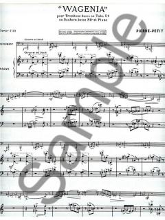 Pierre Petit: Wagenia 