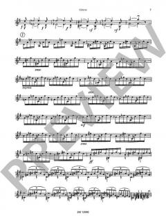 Notturno op. 21 (Wenzel Matiegka) 