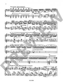 Vergessene Weisen op. 38 von Nikolai Medtner 
