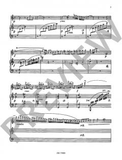 Kadenzen für Flöte und Harfe (Karl Pillney) 