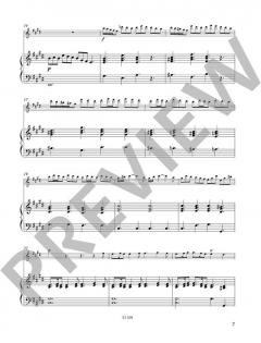 Querflöte spielen - mein schönstes Hobby: Der Konzertband von Cathrin Ambach (Download) im Alle Noten Shop kaufen
