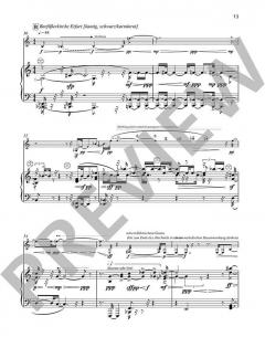 Kanten. Konturen von Benjamin Schweitzer (Download) 