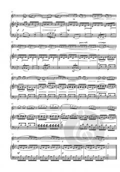 Etude op. 10 Nr. 3 von Frédéric Chopin 