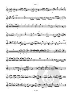Fagottkonzert C-Dur RV 466 von Antonio Vivaldi 