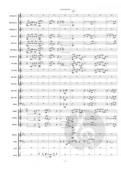 Let the Spirit Soar von James Swearingen 