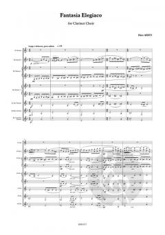 Fantasia Elegiaco von Hans Aerts 