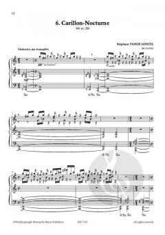 Complete 366' BOOK XIII 10 Night Songs von Stephane Vande Ginste 