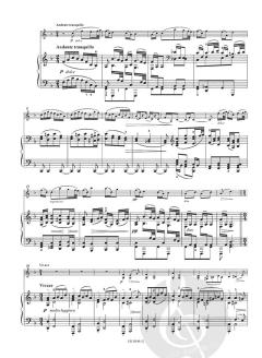 Sonate Nr. 2 A-Dur op. 100 von Johannes Brahms 
