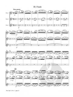 Trio No. 1 op. 51 von Antoine Benoit Tranquille Berbiguier 