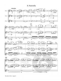 Trio No. 3 op. 51 von Antoine Benoit Tranquille Berbiguier 