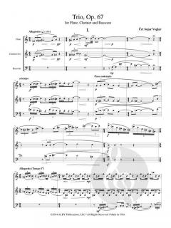 Trio op. 67 von Crt Sojar Voglar 