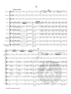 Concerto Concertante von Franz Danzi 