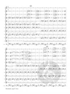 Bacchanale from Samson and Delilah von Camille Saint-Saëns 