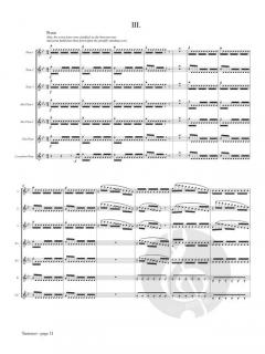 Summer from The 4 Seasons von Antonio Vivaldi 