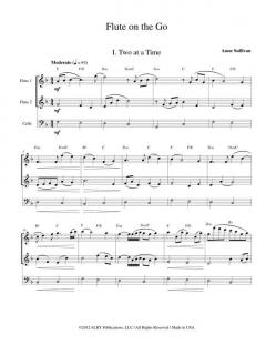 Flute on the Go von Anne Sullivan 