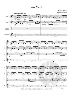 Ave Maria von Franz Schubert 