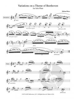 Variations on a Theme of Beethoven von Michael Braz 