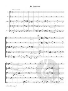 A Winter Suite von Thomas Schudel 