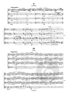 Saxophonie von Fernande Decruck 