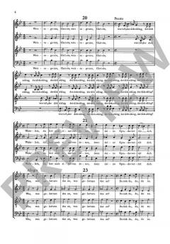 Matthäus-Passion von Friedrich Funcke (Download) 