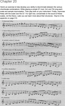 Metaphors for the Musician von Randy Halberstadt 