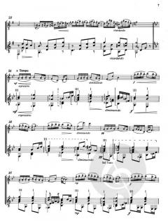 Zwei Humoresken op. 101/3+7 von Antonín Dvorák 