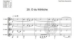 Weihnachtslieder für Horn-Ensemble 