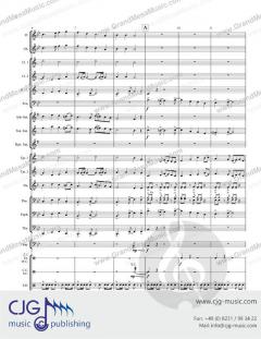 Irish Minstrel Song 