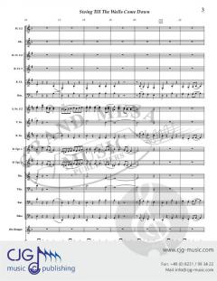 Swing Till the Walls Come Down von David Bobrowitz 