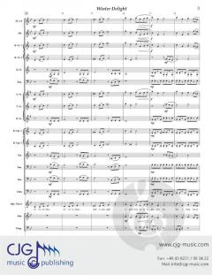 Winter Delight von David Bobrowitz 