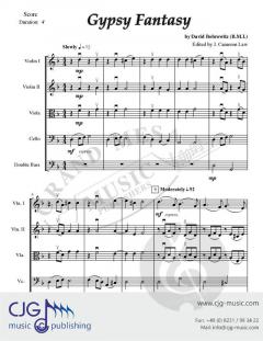 Gypsy Fantasy von David Bobrowitz 