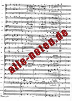 Richard Rodgers In Concert Medley - String Pak (Richard Rodgers) 