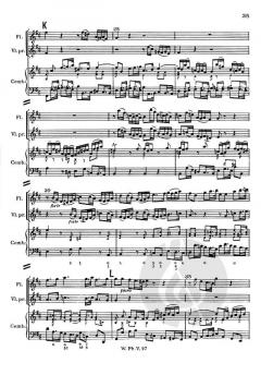 Brandenburgisches Konzert Nr. 5 BWV 1050 (J.S. Bach) 