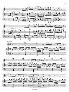 12 Variationen über Ein Mädchen oder Weibchen op. 66 von Ludwig van Beethoven 
