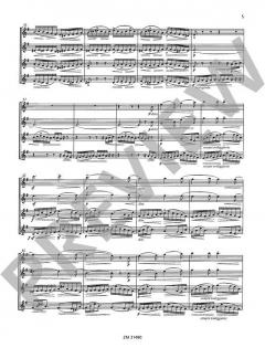 Die Moldau von Bedrich Smetana 