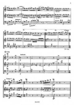Chrzaszcz op. 23 (Graham Waterhouse) 