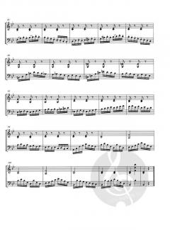 12 Duetti ed un capriccio concertanti - Band 1 (Duetto 1-7) von Luigi Savi 
