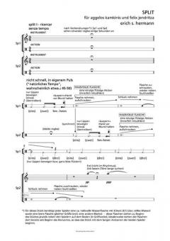 Split 2 Gitarren von Erich S. Hermann 