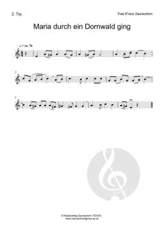 Maria durch ein Dornwald ging (Download) 