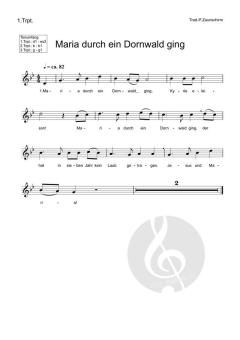 Maria durch ein Dornwald ging (Download) 
