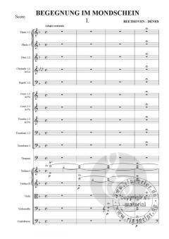 Begegnung im Mondschein von Ludwig van Beethoven 