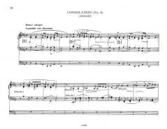 Selected Organ Works 2 von Franz Liszt 
