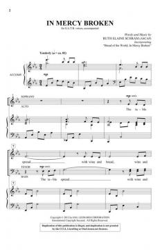 In Mercy Broken von Ruth Elaine Schram 