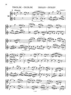 Flute Tutor 1 von Zoltan Jeney 
