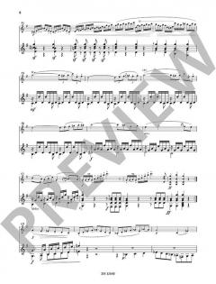Duo Concertant e-Moll op. 25 von Mauro Giuliani 